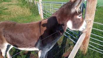 Northlees Farm