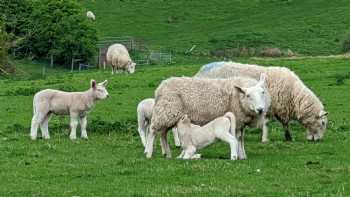 Northlees Farm