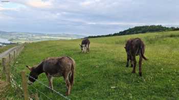 Northlees Farm