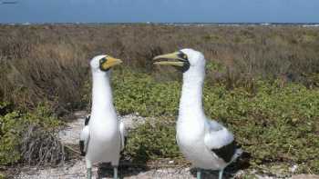 Howland Island