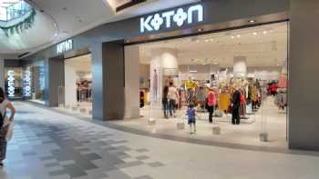 Koton