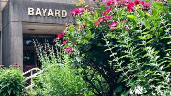 The Bayard School