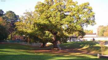 Great Oaks School