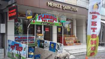 SANÇAKTEPE FLAMİNGO MyStar PETSHOP YENİDOGAN