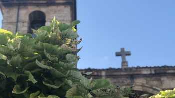 Asociación Cultural Dios Baco