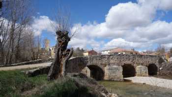 Bodegas Coruña del Conde S.L.