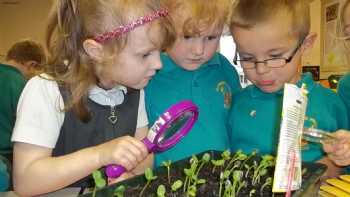 Clavering Primary School