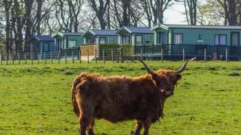 Cloak Caravan Park