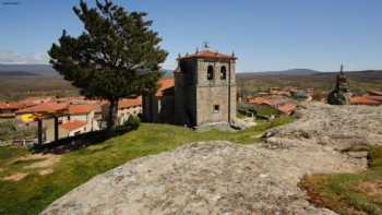 Museo del Árbol Fósil