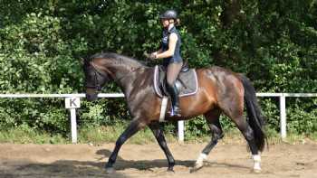 Heike Schwaß, mobile Reitlehrerin