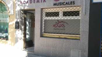 ECOS MUSICALES Academia de Música