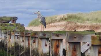 Seatown Cottage Self Catering Holiday Home