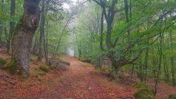 Ibeas De Juarros