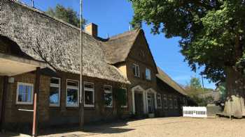 School at the lake