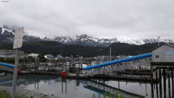 Prince William Sound Science Center