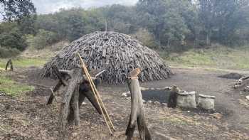 Carboneras de mecerreyes