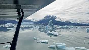 ALASKA'S CUB TRAINING SPECIALISTS