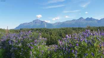 Matanuska Experiment Farm and Extension Center