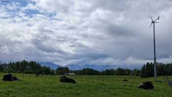 The Musk Ox Farm