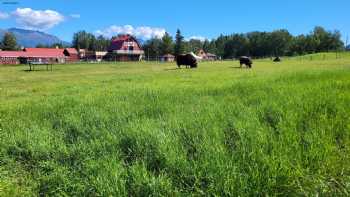 The Musk Ox Farm