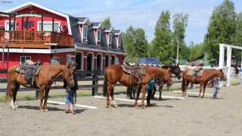 Alaska Horse Ranch