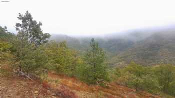 Palazuelos De La Sierra