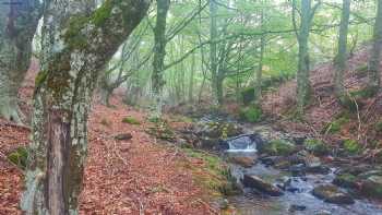 Palazuelos De La Sierra