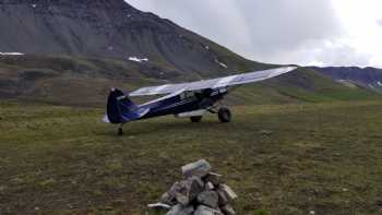 ALASKA'S CUB TRAINING SPECIALISTS