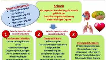 Heilpraktiker Schule ONLINE, Prüfungsvorbereitung