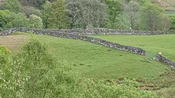 Glen Afton Caravan Park