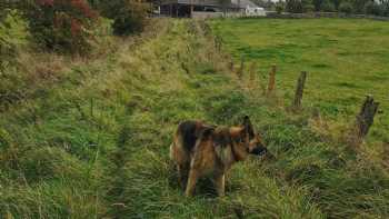 Collierhall Farm Caravan Site