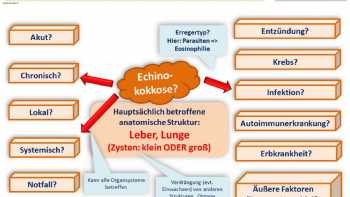 Heilpraktiker Schule ONLINE, Prüfungsvorbereitung