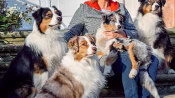 Coaching Synergie By Angelika Glauber - Hundetraining in Barsbüttel