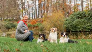 Coaching Synergie By Angelika Glauber - Hundetraining in Barsbüttel