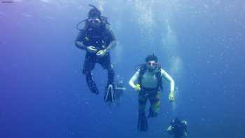 SCUBA Professional Education Dive School