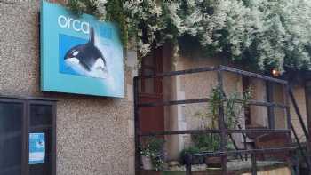 Orca Guest House