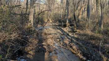 Kingsley Environmental Center