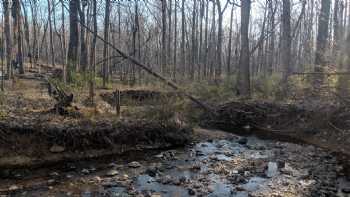 Kingsley Environmental Center