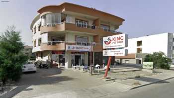 KING PETSHOP GUZELBAHÇE MAĞAZASI