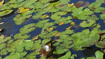 Maydale Nature Classroom