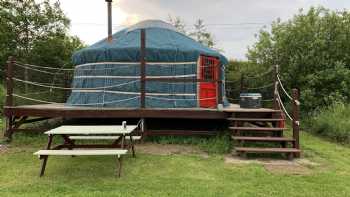 Ettrick Valley Yurts