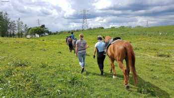 Kirknewton Riding and Trekking Centre