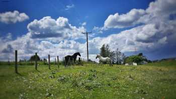 Kirknewton Riding and Trekking Centre