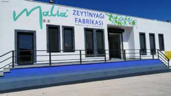 Malia Zeytinyağı Fabrikası