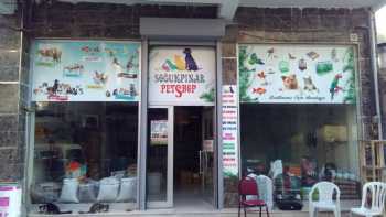 Soğukpınar Petshop