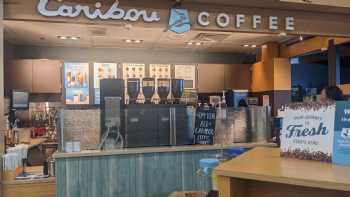 Caribou Coffee