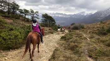 Trankoz Tranko trec y turismo ecuestre