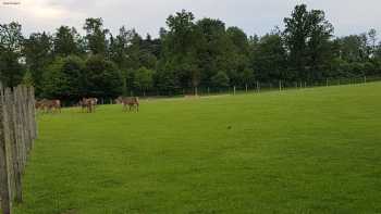 Naturkindergarten mit Tieren grashüpfer gemeinnützige UG (haftungsbeschränkt)