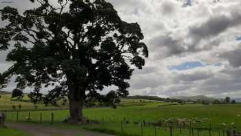 Newark Farm Bed & Breakfast