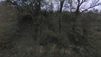 Dolmen de Argés